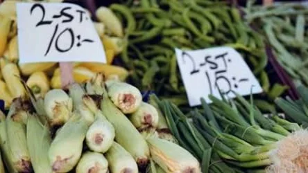STOCKHOLM 011004 - Grönsaker, purjolök, majs och chili. Bilder från ett torgstånd i Rinkeby.
Foto: Fredrik Persson Kod: 1081
COPYRIGHT PRESSENS BILD