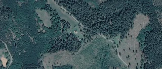 Fastigheten på Rävsala Lövdalen i Kisa får ny ägare
