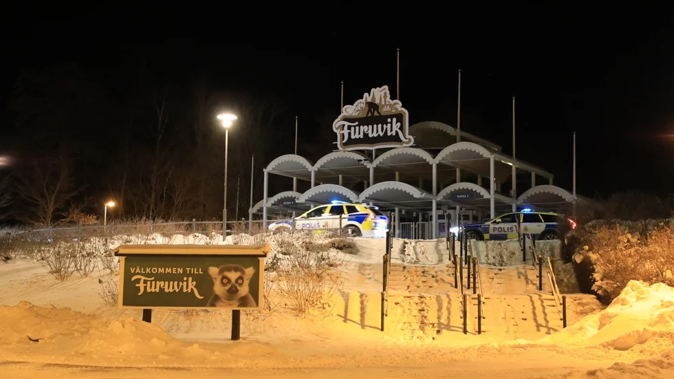 Arbetet fortsätter på Furuvik.