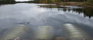 Utsläpp visade sig vara algblomning