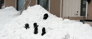 Bästa snöbilden utsedd