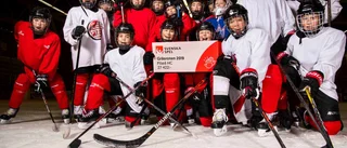 Pengaregn – Norrbotten får 2,2 miljoner kronor
