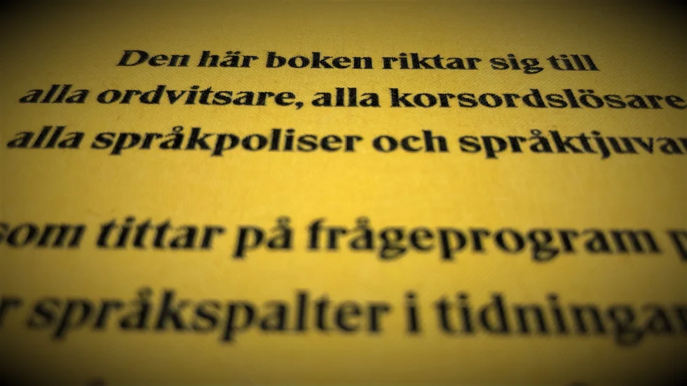 Baksidestexten på boken "Ordklok" av Staffan Fridell, som Maria Larsdotter fick i födelsedagspresent.