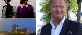 Hjalmarsson om musikmuseet och Visans hus: "Var fel från början"