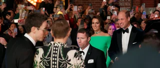 Miljön i fokus vid prinsbesök i USA
