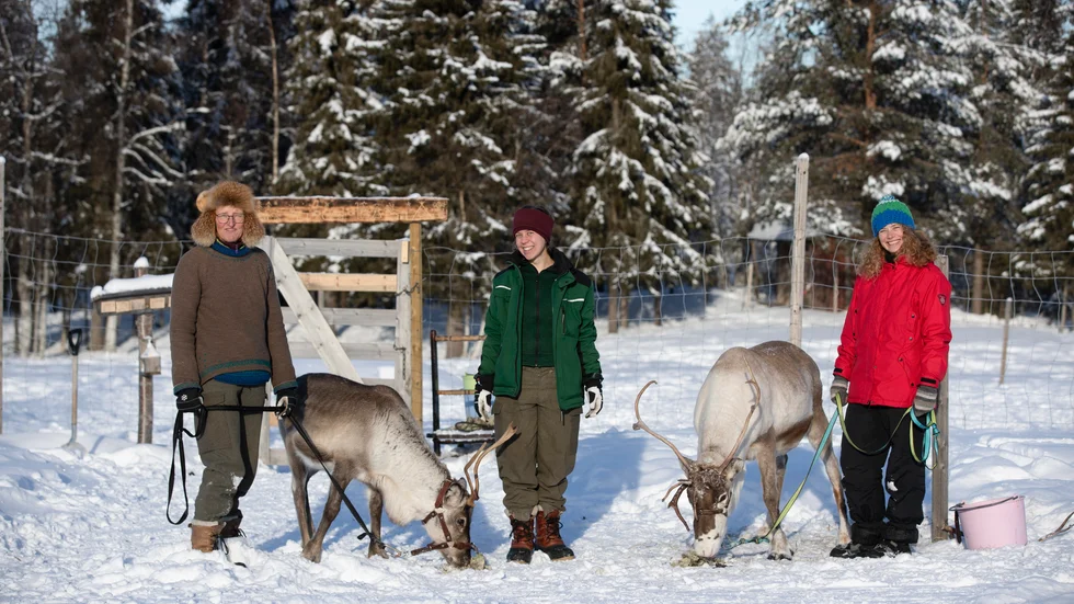Ruth Dass, Melanie Satzke och Sophie Schlaüven kommer alla från olika platser i Tyskland. Nu arbetar de med turistverksamheten samtidigt som de får uppleva den norrbottniska naturen. 