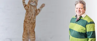 Katter som staten inte räknat med