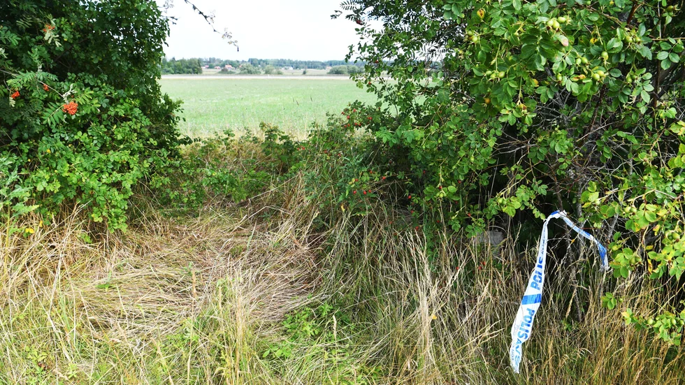 En 19-årig man hittades ihjälskjuten på en åker utanför Enköping i augusti 2021. Arkivbild.