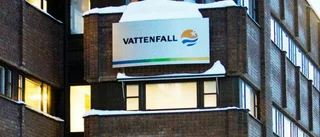 Mp vill ragga jobb till landsbygden