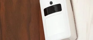 Larmsäljare eller inbrottstjuv?