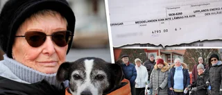 Heidi fick över 15 000 i räkningar – när hunden blev sjuk och elen skulle betalas • Grannarna fick betala 6 000 för elen