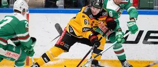 Honka: "Vi måste bara fortsätta vara positiva"