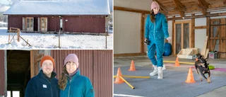 ”En dröm ända sedan vi flyttade hit” • Nu skapar paret ett universum för hundfolket • ”Man får mycket serverat”