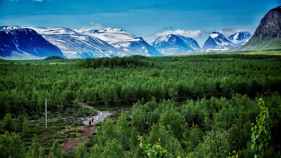 Säkerhetsmedvetenhet. De senaste fem åren har säkerhetsmedvetandet bland fjällturister sjunkit visare en underöskning som fjällsäkerhetsrådet genomfört.