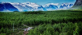 Dåligt säkerhetsmedvetande bland fjällturister