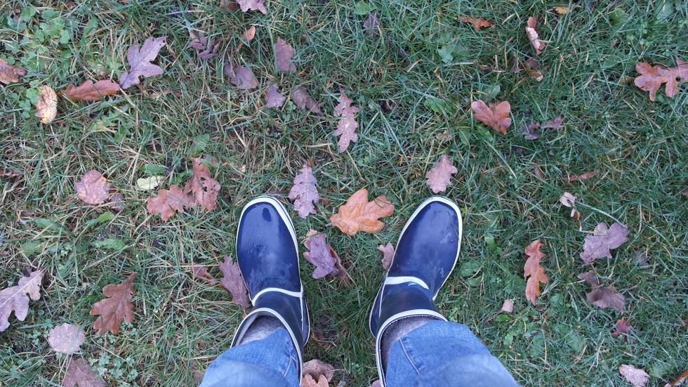 På med gummistövlarna. Hösten är den bästa tiden att lyckas med sina planteringar i trädgården. 