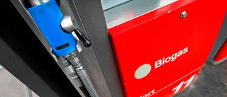 Tankevurpa med Skellefteå kommuns biogaspris?