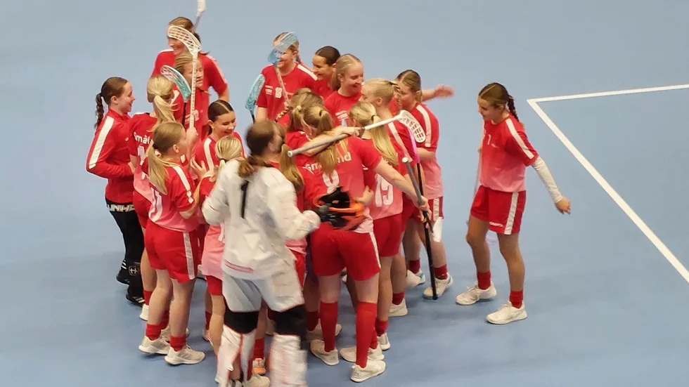 Sofia Söderlunds Småland fick jubla över två raka segrar i gruppspelet av distriktslags-SM.