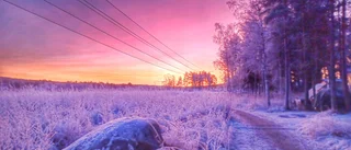 Magisk morgon i Luleå         