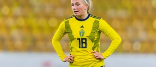 Vinst och förlust för Skoog i Finland