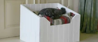 Så snickrar du en egen   säng till din hund