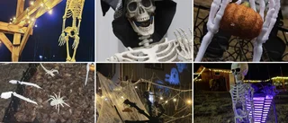 Gigantiska spindlar • Ruggiga spöken • Läskiga skelett • Helgen då Ritas hus förvandlas till en skräckupplevelse 