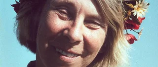 Mumindalen en flykt undan kriget