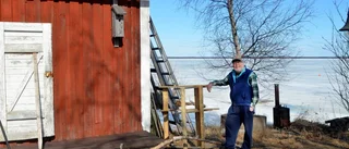 Mystiskt försvinnande av igelkottar
