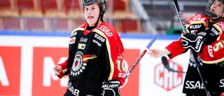 Luleå Hockey rycker i toppen – efter nya segern