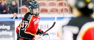Luleå Hockeys historiske målskytt: "En barndomsdröm"