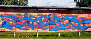 Ja till fler graffitiplank