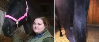 Hennes häst skars i underlivet