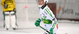 Guldspelaren öppnar för Kalix Bandy
