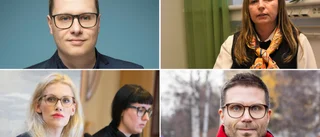 Därför vill politikerna se resursskolor 