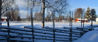 Läsarbilden: Vintervila på Hägnan