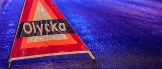 Bil körde in i nedfallet träd 