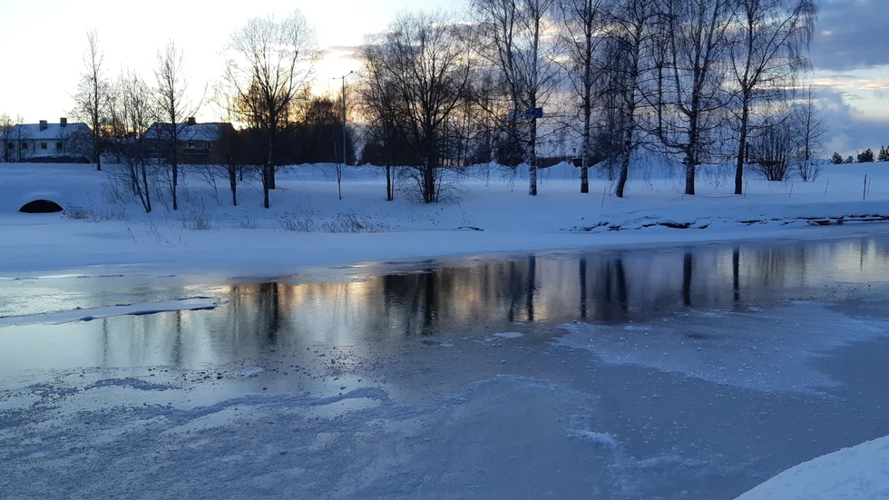 Dagens läsarbild.