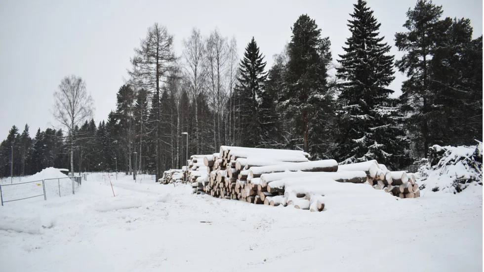 Här har det fällts skog på Getberget inför byggande. Tanken är nu att skogen som ligger längre upp på berget ska bevaras. 