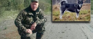 Jämthunden Kiwi försvann för tre veckor sedan • Ägaren utlyser belöning på 50 000 kronor • "Ovissheten är värst"