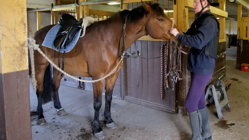 "Jimmy Andersson ett känt parasportnamn här på ön tog nyss hem både guld och silver i snöskolöpning. Jimmy håller även på med para-ridning där han har haft superbra resultat genom åren".