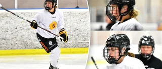 Förstärkningarna ska ta AIK till SDHL – nu är de på plats: ”Måste ge det en andra chans”