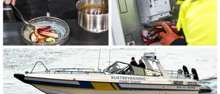 Här är yrkena som ger dig lön medan du pluggar