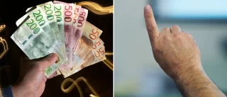 Gotland får egen version av Draknästet • Hoppas på årligt event • Sex bolag pitchar sina idéer för investerare