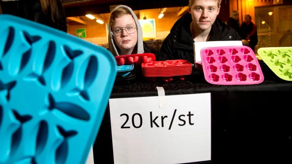 Smart? Anton Persson och Jimmy Nyman har satsat på att köpa in isformar från Ikea som de säljer vidare.