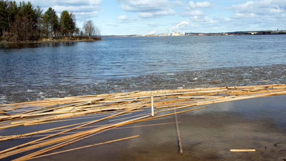 NCC hann inte ta bort allt virke från isen och de senaste dagarna har virkeshögar setts flyta nerför Piteälven.