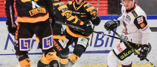Största vinsten på 40 år – Skellefteå jagar toppen