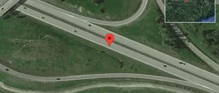 Älg på vägen på E20