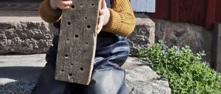 Göra bihotell – ett perfekt helgprojekt