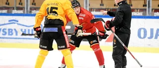 "Bulans" förväntningar inför löftets återkomst