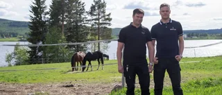 Stjärnhästens ägare: "Känns helt fantastiskt"